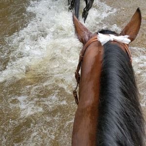 Meet your Posher, Jolynn